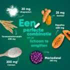 De inhoud van de detox pillen van WeightWorld