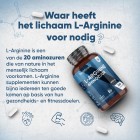 Een uitleg waarom het lichaam l-arginine nodig heeft