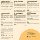 Biologische Kurkuma met Zwarte Peper en Gember